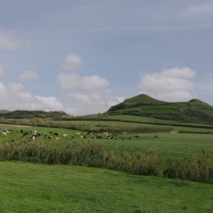 Açores-412