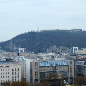 DSCF8632