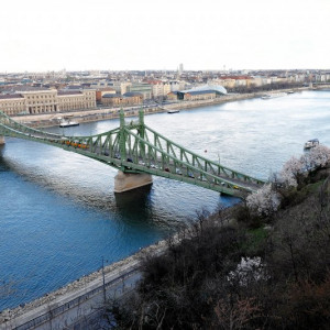 DSCF9219