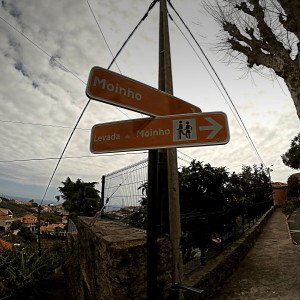 Levada do Moinho / Levada Nova