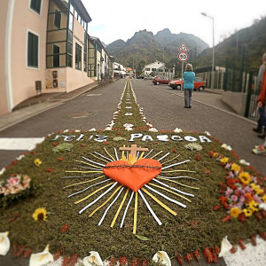 Tapetes de flores para a procissão de Páscoa na Serra d'Água