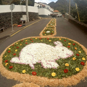 Tapete de flores