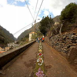 Tapete de flores