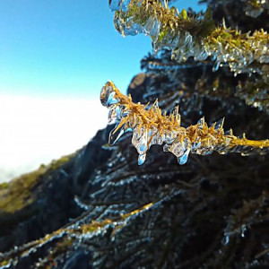 Pico do Areeiro