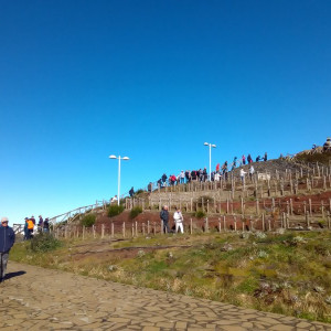 Pico do Areeiro