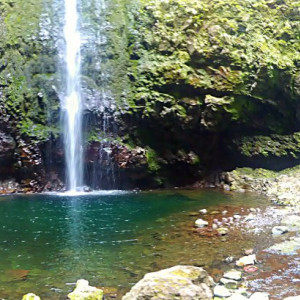 Caldeirão Verde