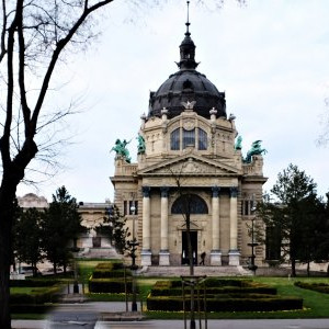 DSCF9500