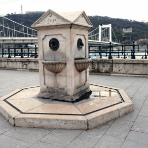 DSCF9545