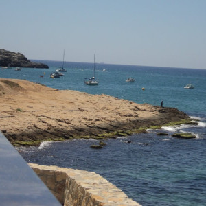 DSC00335