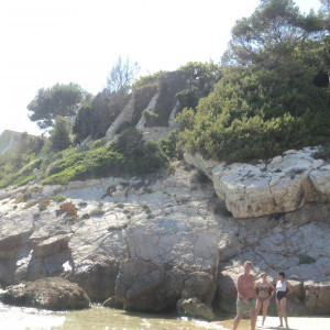 DSC00354