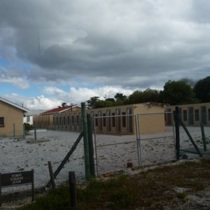 2ºdia (12)