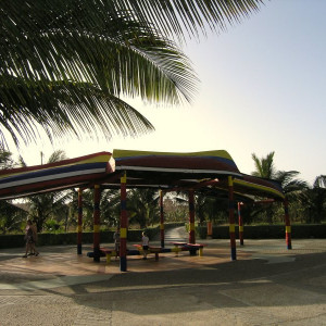 P1010001