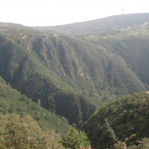 DSC00200