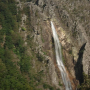 DSC00207