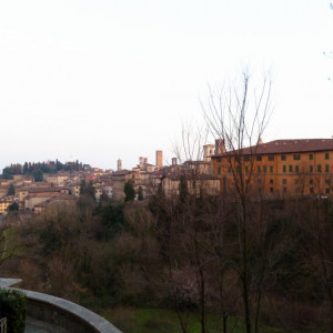 Bergamo (10)