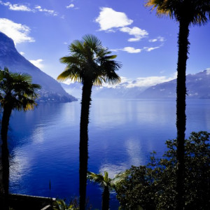 Como (5)