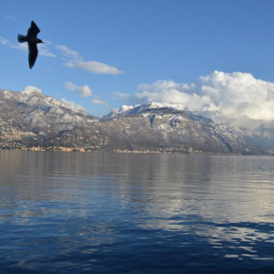 Como (16)