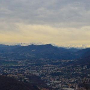 Como (24)