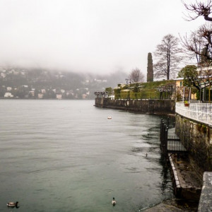 Como (34)
