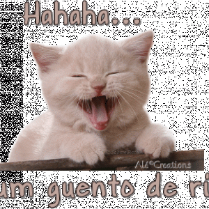 Imagens-imagens-de-rir-1