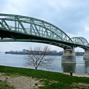 DSCF9807