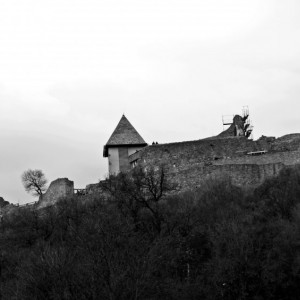 DSCF9949