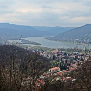 DSCF9950