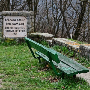 DSCF9972