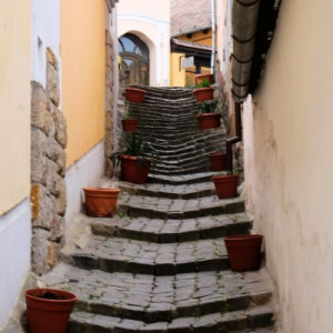 DSCF9987
