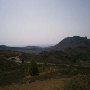 P8260119