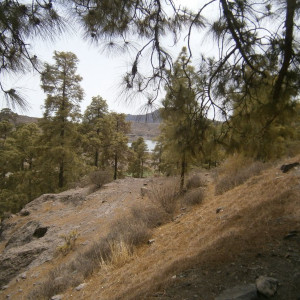 P8260131