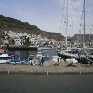 P8260138