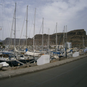 P8260139