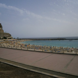 P8260175