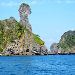 Chiken island