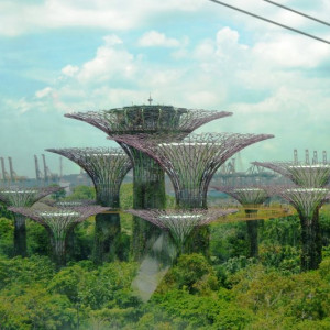 Gardens By The Bay