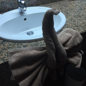 3_6