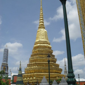 SDC14397