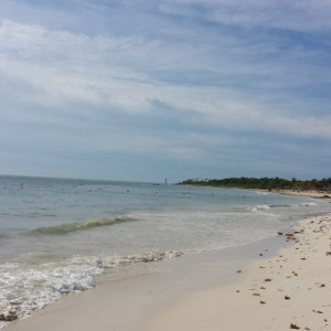 20150925_093136
