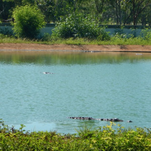 DSCN1822