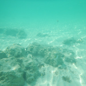 DSCN2154