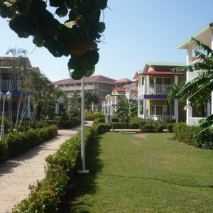 P1080431