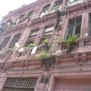 P1080530