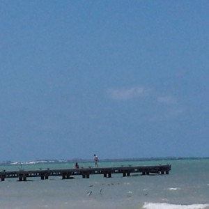 20160505_130818