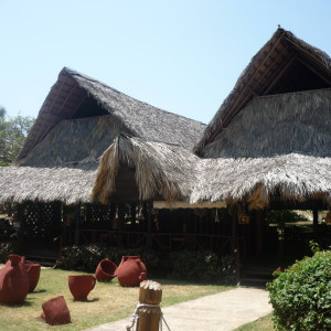 P1080446