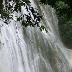 excurção desde punta cana até samana