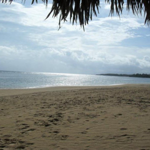samaná 1