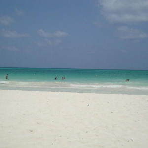 DSC03791 (Copiar)