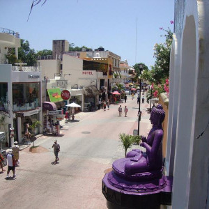 DSC03901 (Copiar)