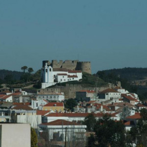 IMG 0700 1024x683
